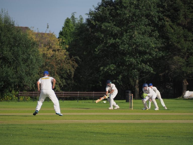 Experience the Thrill of Fantasy Cricket with Damien Arena!