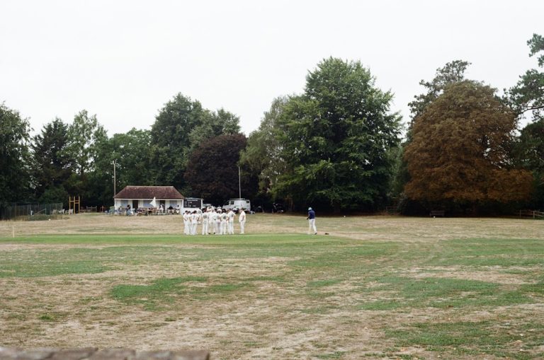 Experience the Thrill of Fantasy Cricket with Damien Arena!